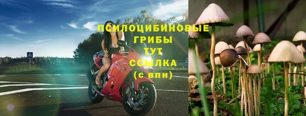 амф Абинск
