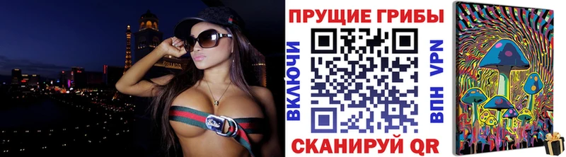даркнет как зайти  Брюховецкая  Псилоцибиновые грибы Cubensis 